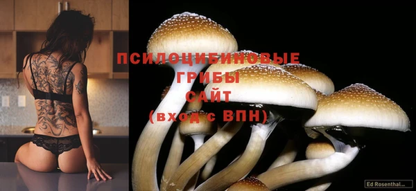 каннабис Абаза