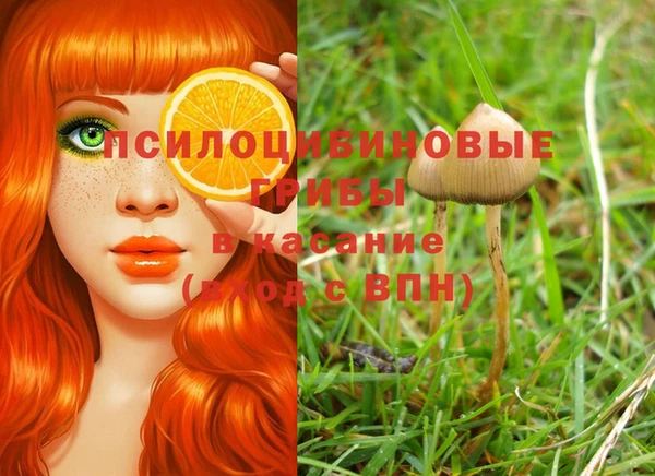 каннабис Абаза